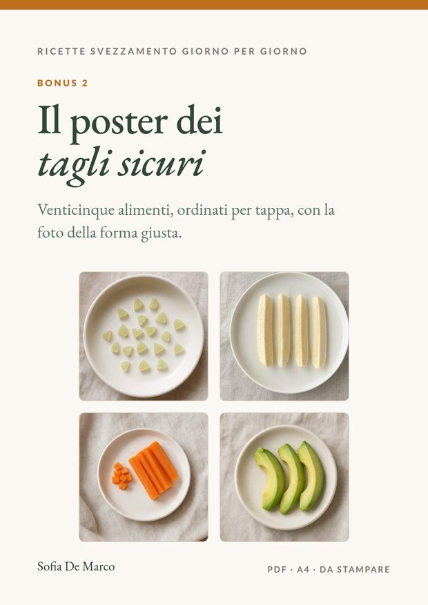 Copertina di &laquo;Il poster dei tagli sicuri&raquo;